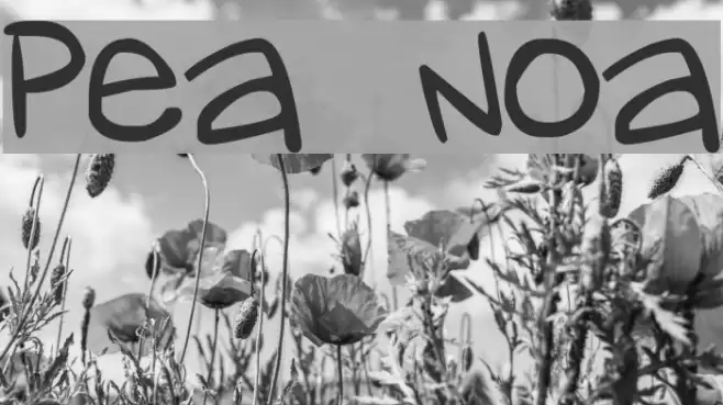 Pea Noa Font examples