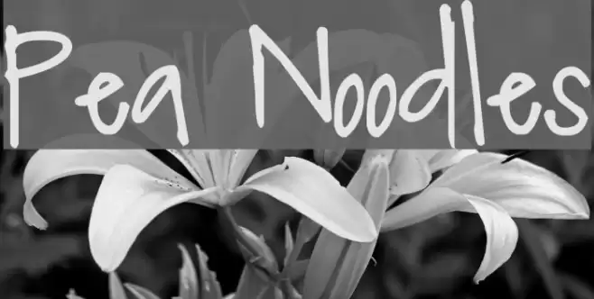 Pea Noodles Font examples