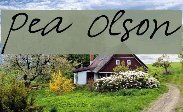 Pea Olson Font examples