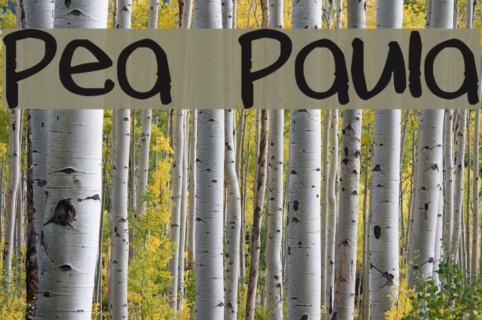 Pea Paula Font examples