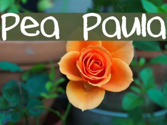 Pea Paula Example 2