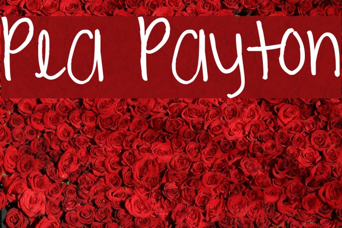 Pea Payton Font examples