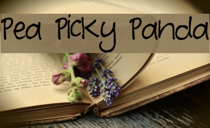 Pea Picky Panda Font examples