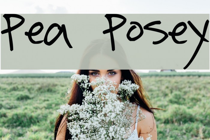 Pea Posey Font examples