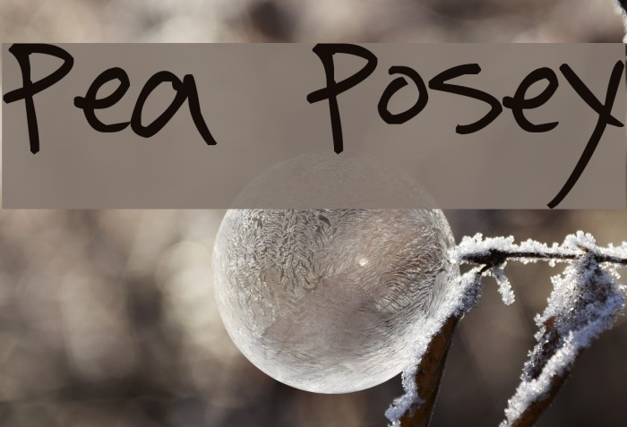 Pea Posey Font examples