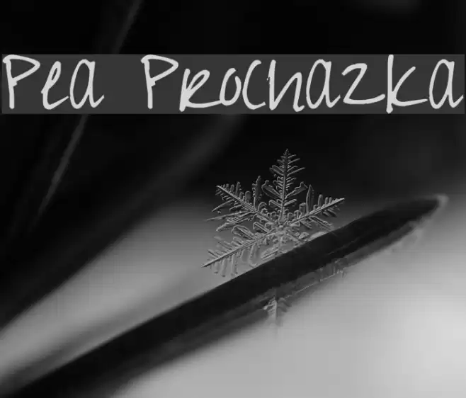 Pea Prochazka Font examples