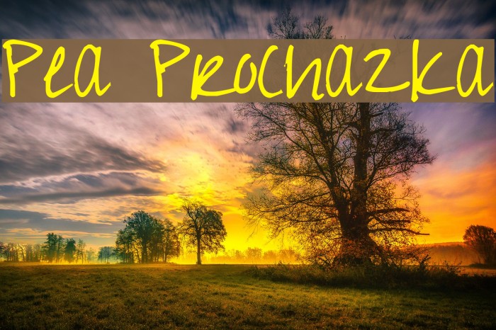 Pea Prochazka Example 3