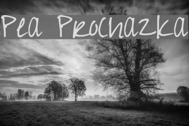 Pea Prochazka Font examples