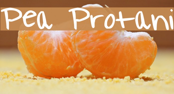 Pea Protani Font examples