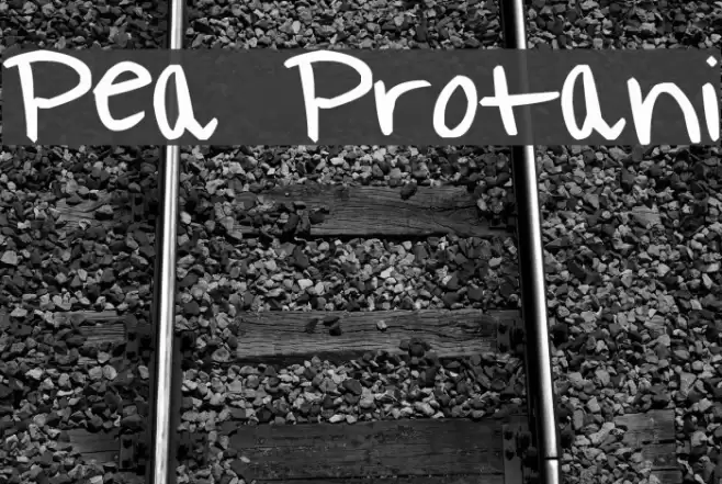 Pea Protani Font examples