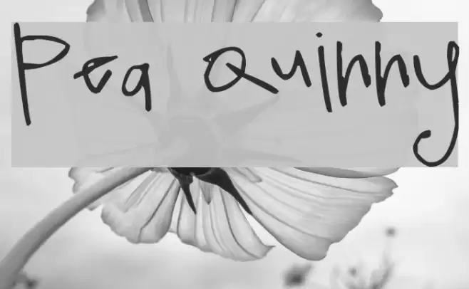 Pea Quinny Font examples