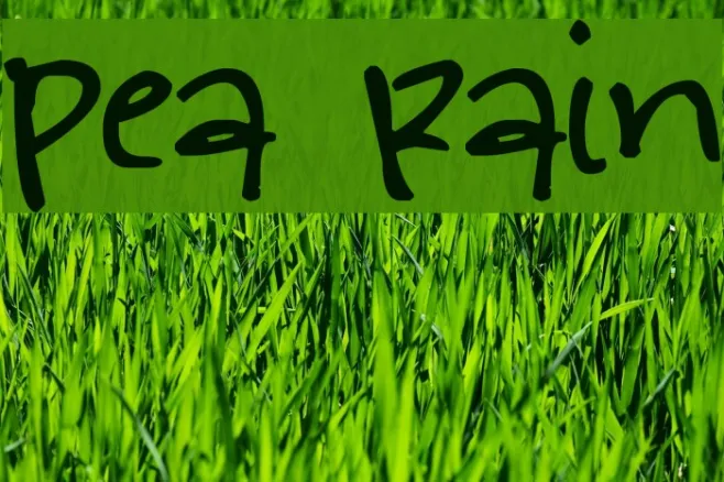 Pea Rain Example 2