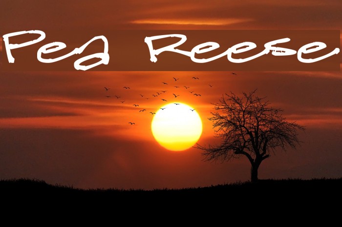 Pea Reese Font examples