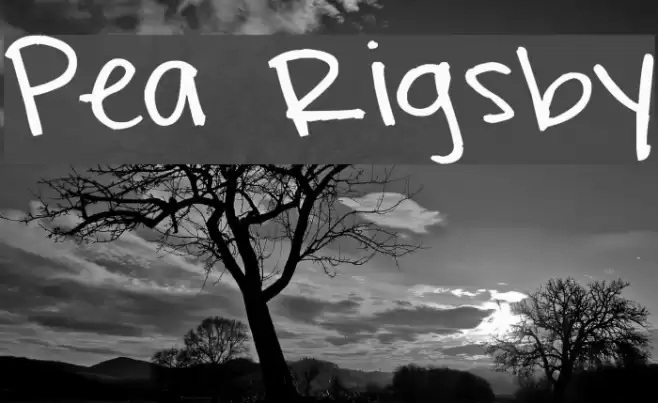 Pea Rigsby Font examples