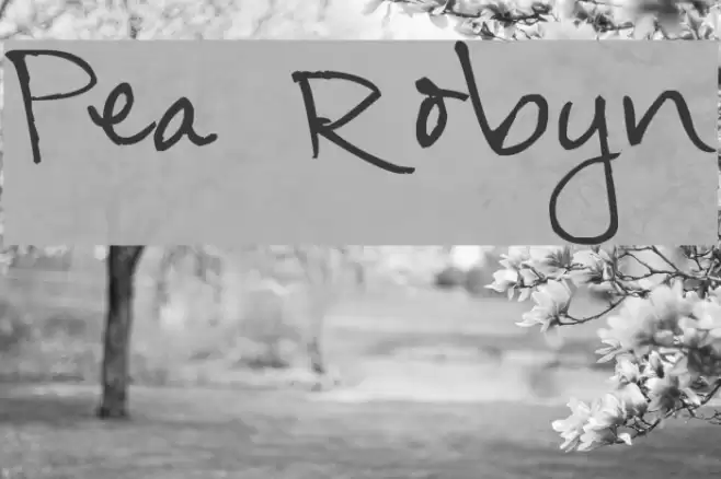 Pea Robyn Font examples