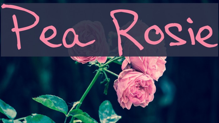 Pea Rosie Font examples