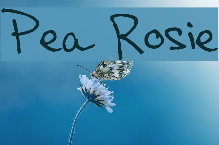 Pea Rosie Font examples