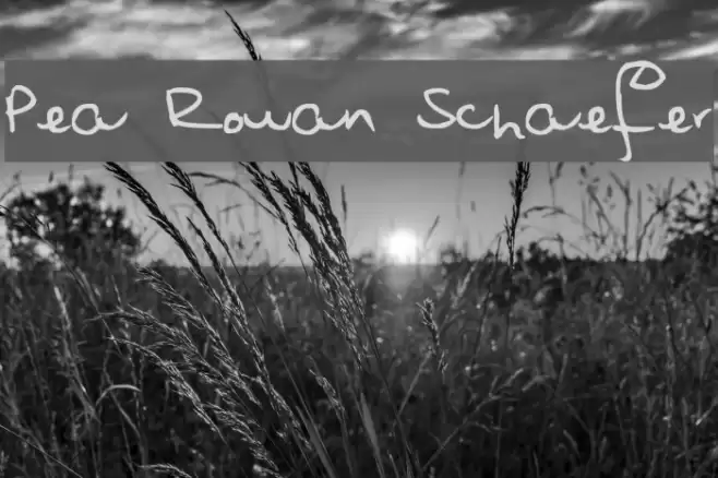 Pea Rowan Schaefer Font examples