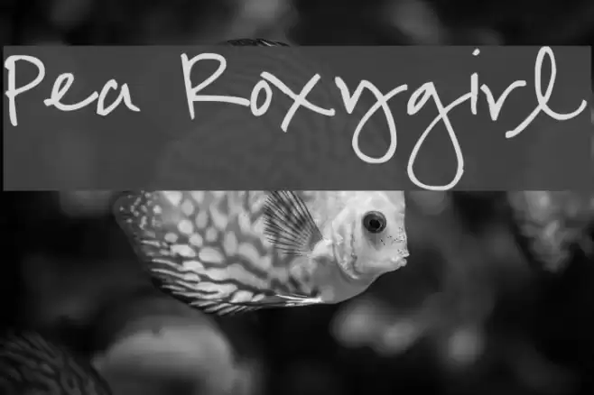 Pea Roxygirl Font examples