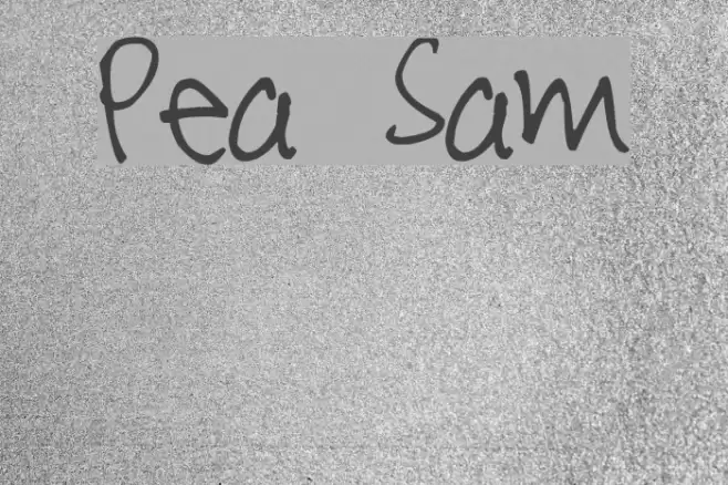 Pea Sam Font examples