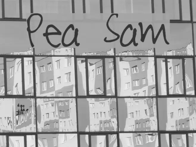 Pea Sam Font examples