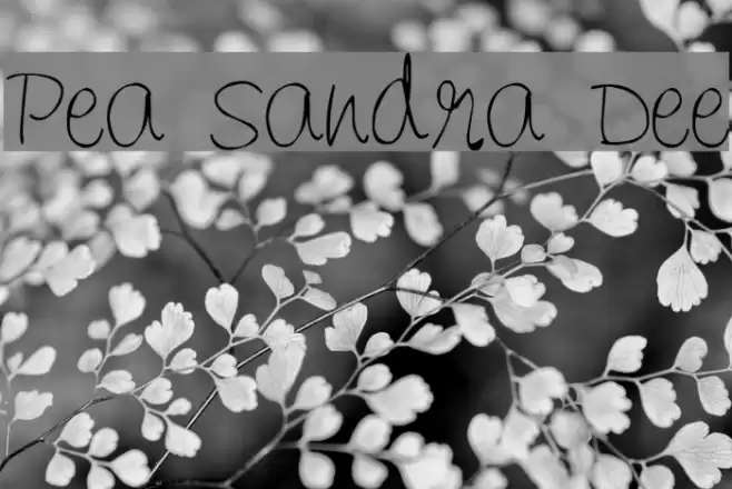 Pea Sandra Dee Polices examples