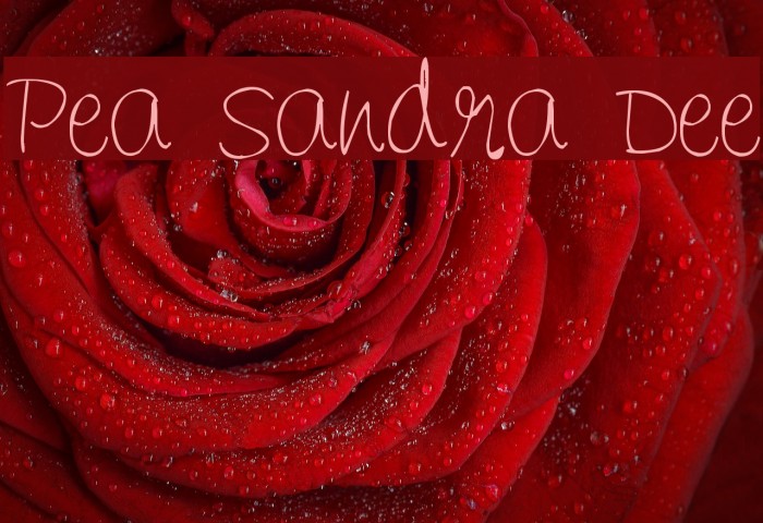 Pea Sandra Dee Font examples