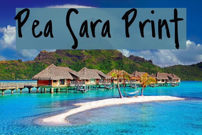 Pea Sara Print Font examples