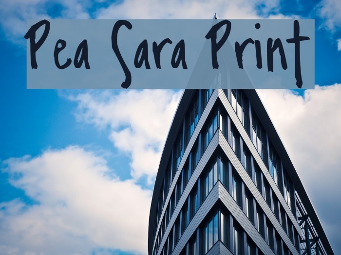 Pea Sara Print Font examples