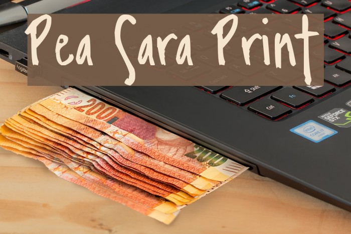 Pea Sara Print Font examples