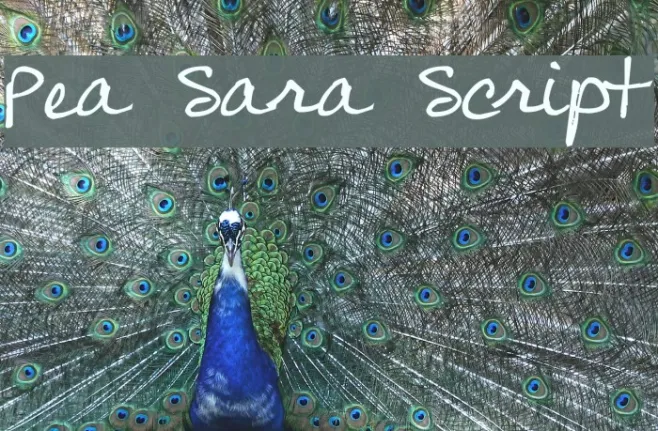 Pea Sara Script Example 1