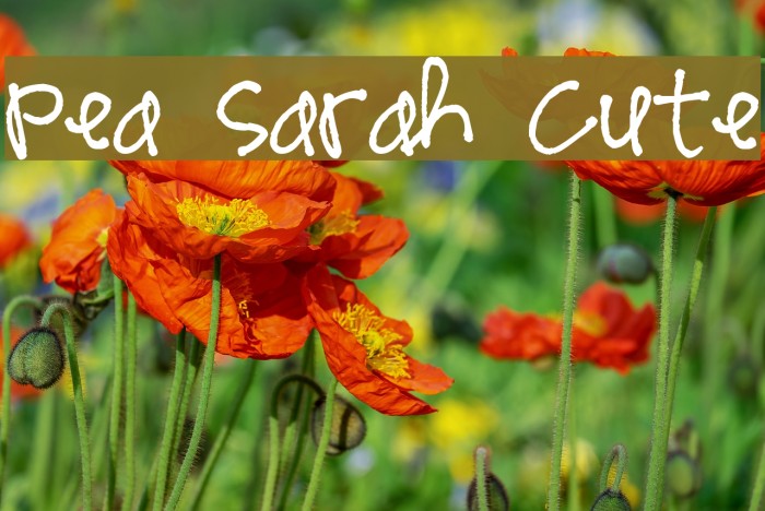 Pea Sarah Cute Font examples