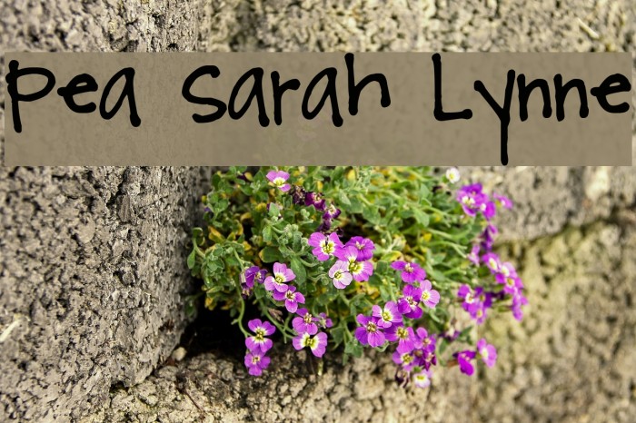 Pea Sarah Lynne Font examples