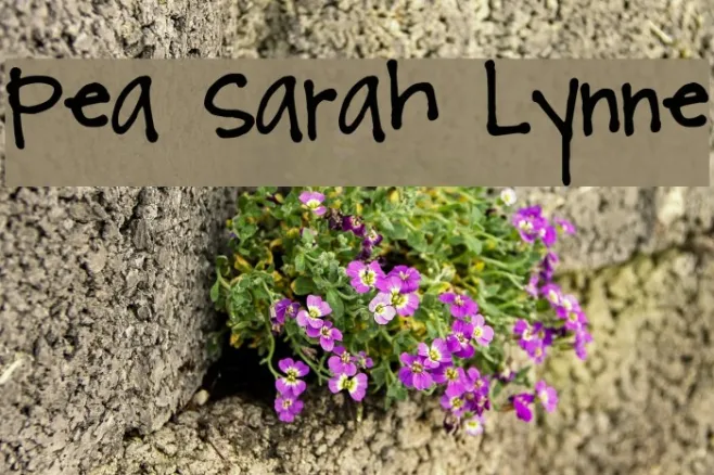Pea Sarah Lynne Example 2