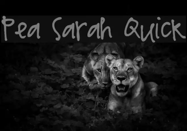 Pea Sarah Quick Font examples