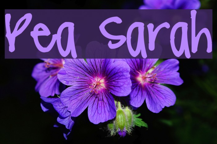 Pea Sarah Font examples