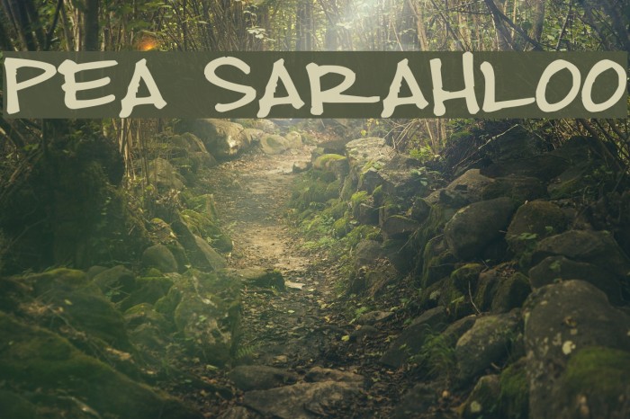 Pea Sarahloo Font examples