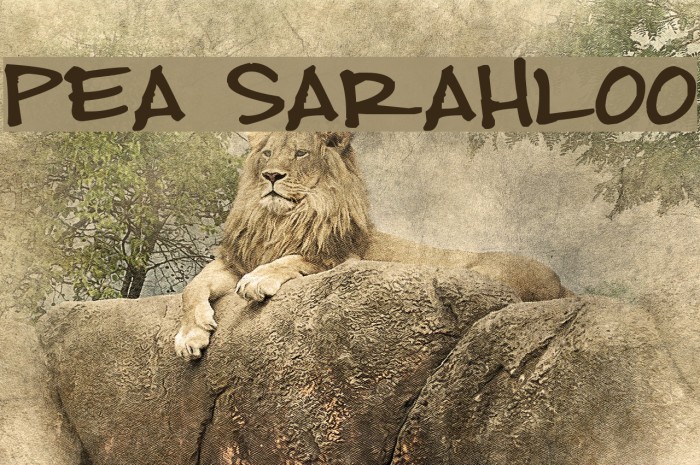 Pea Sarahloo Font examples