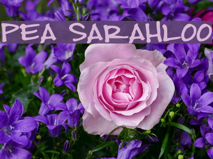 Pea Sarahloo Font examples