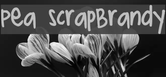 Pea ScrapBrandy Font examples