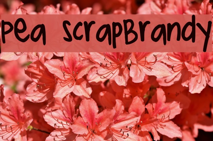 Pea ScrapBrandy Example 3