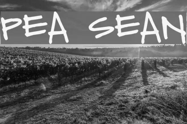 Pea Sean Font examples