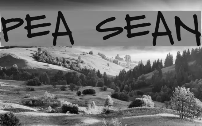 Pea Sean Font examples