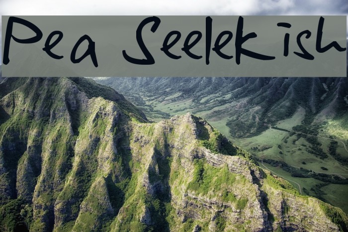 Pea Seelekish Fonte examples