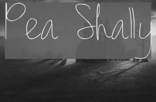 Pea Shally Font examples