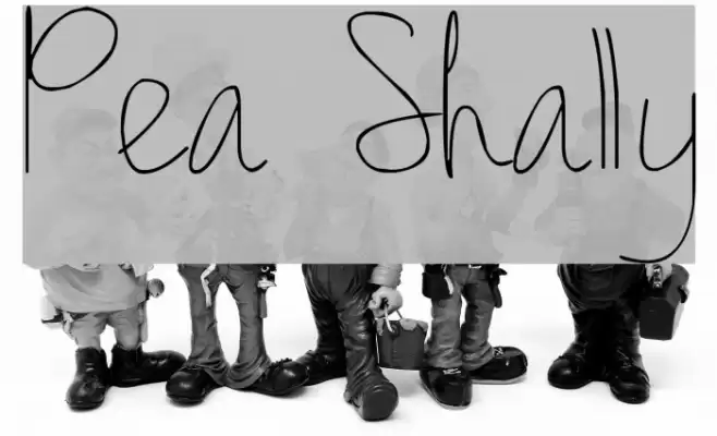 Pea Shally Font examples