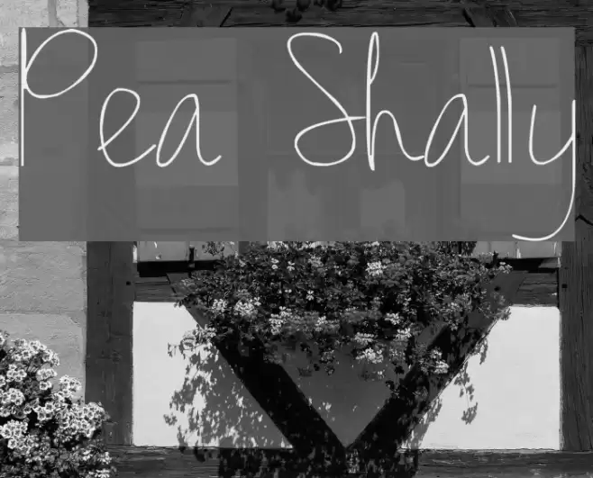 Pea Shally Font examples