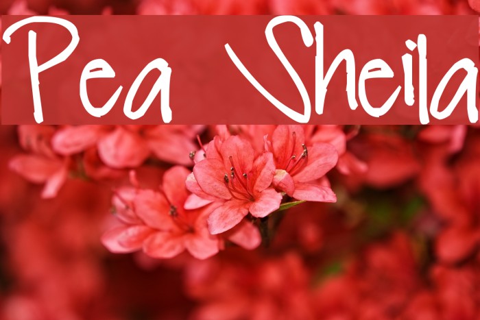 Pea Sheila Font examples