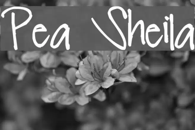 Pea Sheila Font examples