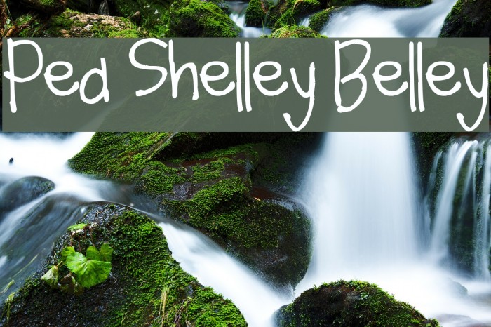 Pea Shelley Belley Font examples